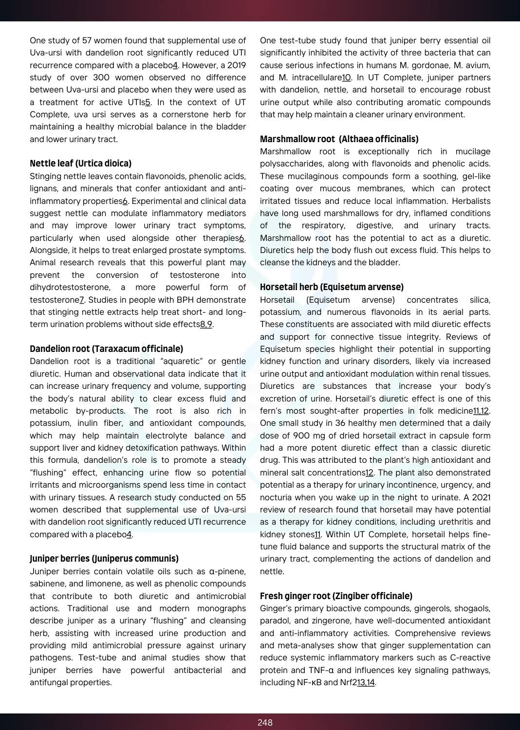 1768316123__UT Complete (2).jpg