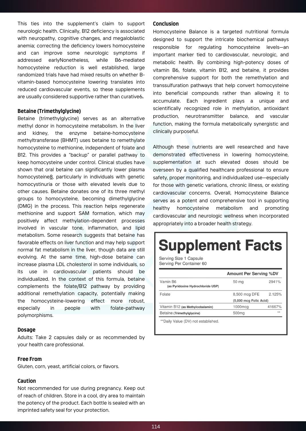 1768319620__Homocysteine Balance (3).jpg