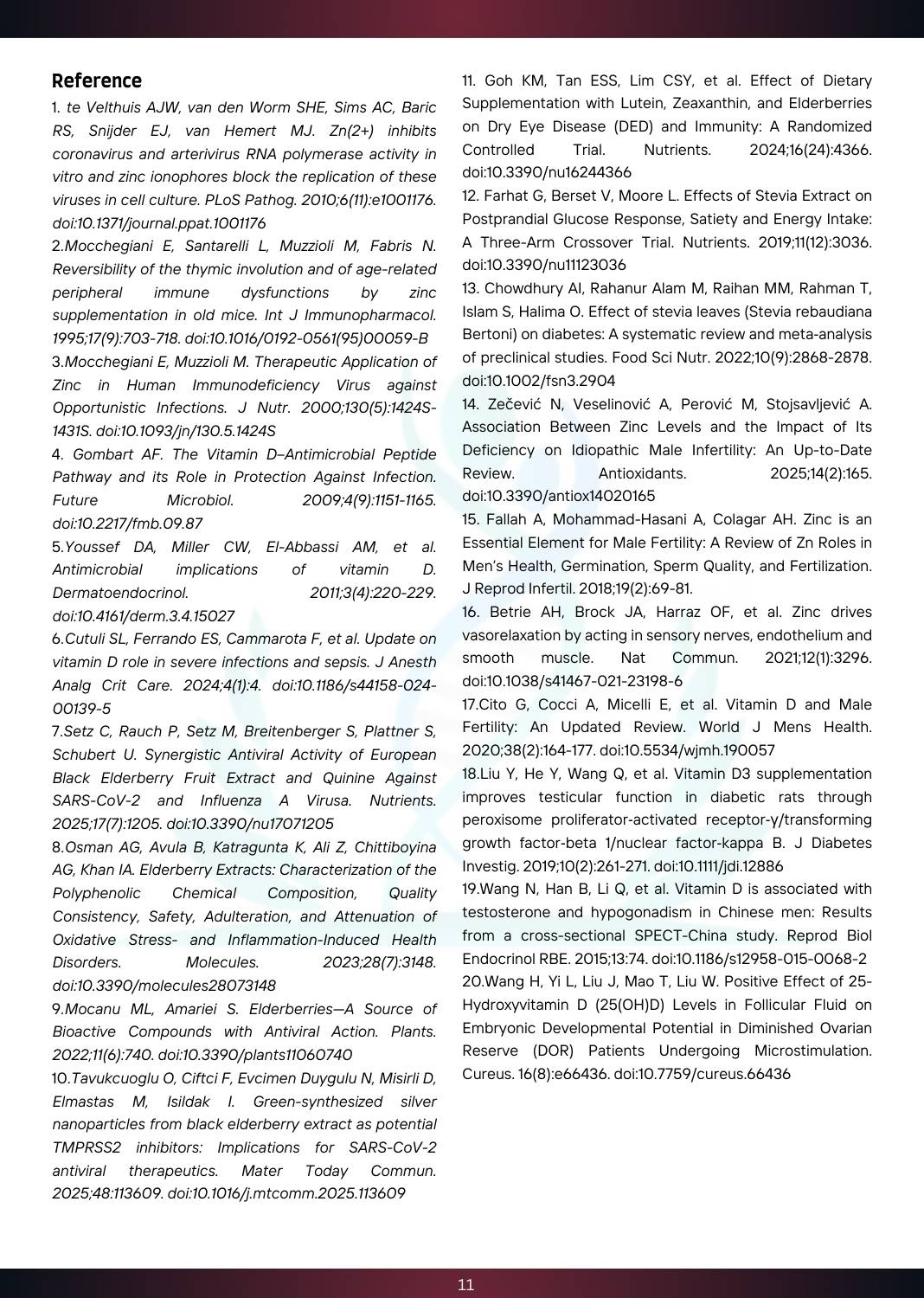 1768374240__Active Zinc (4).jpg