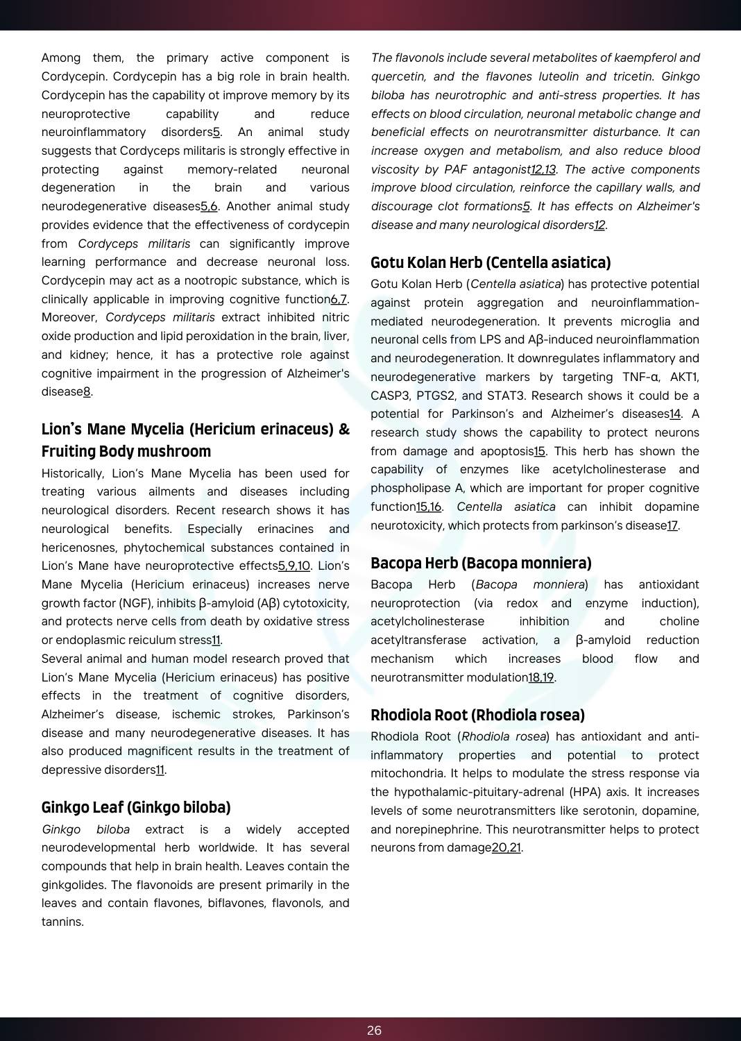 1768375258__Brain Boost (2).jpg