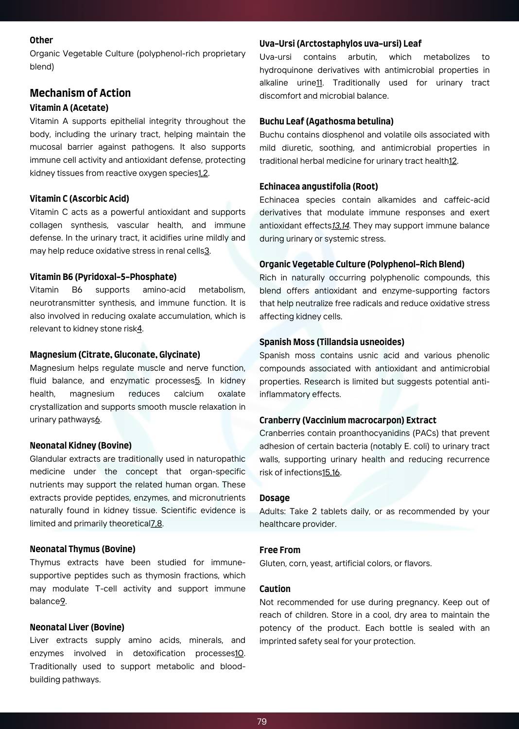 1768375745__Core Kidney (2).jpg